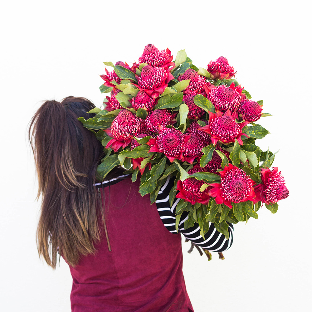 Flower Delivery Sydney Sydney Flowers From Just 25