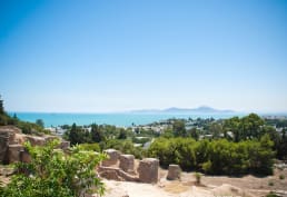 Tunis