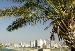 Tel Aviv