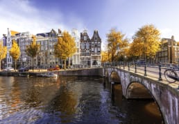 AMS