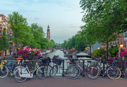 AMS