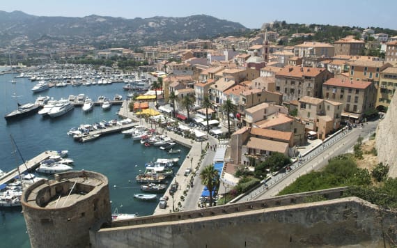 Calvi