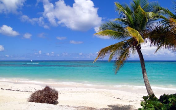 Punta Cana