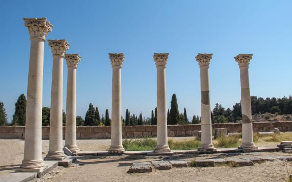 Kos