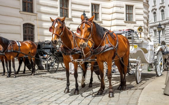 Wien