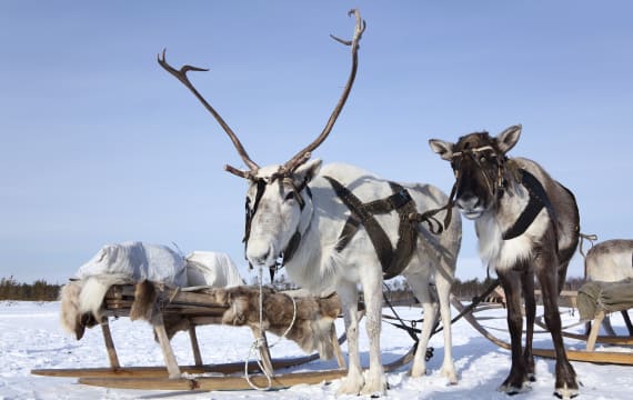 Kajaani