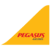 Pegasus Airlines
