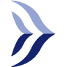 A3