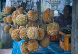 Semarang