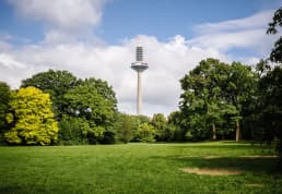 Frankfurt/Main