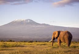Arusha