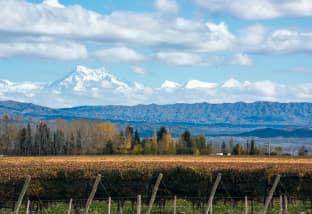 Mendoza