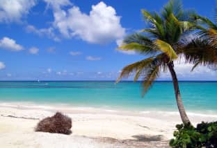 Punta Cana