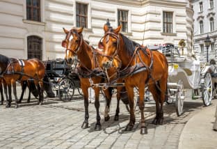 Wien