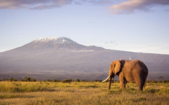 Arusha