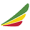 Ethiopian Airlines