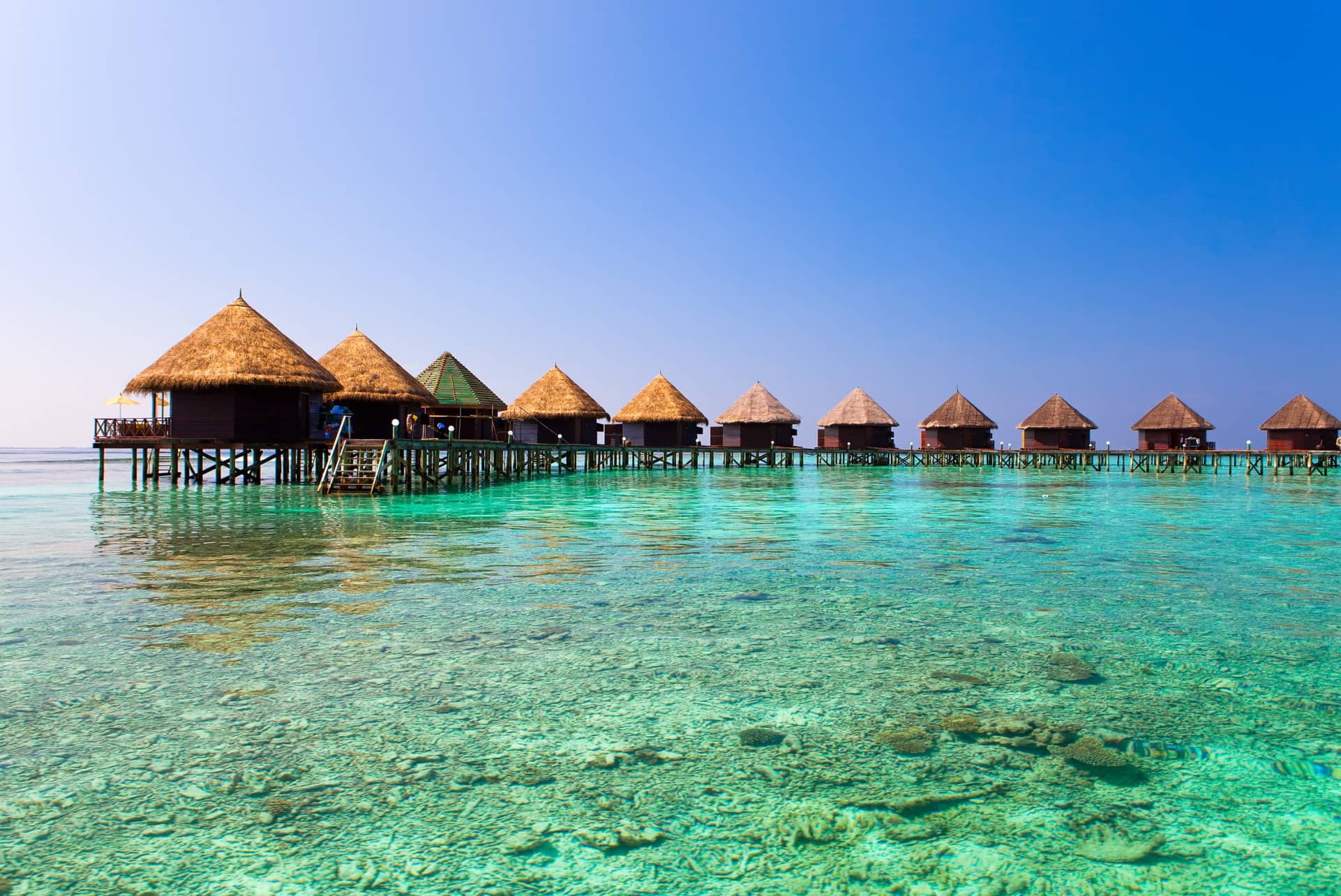 Flüge Malediven buchen