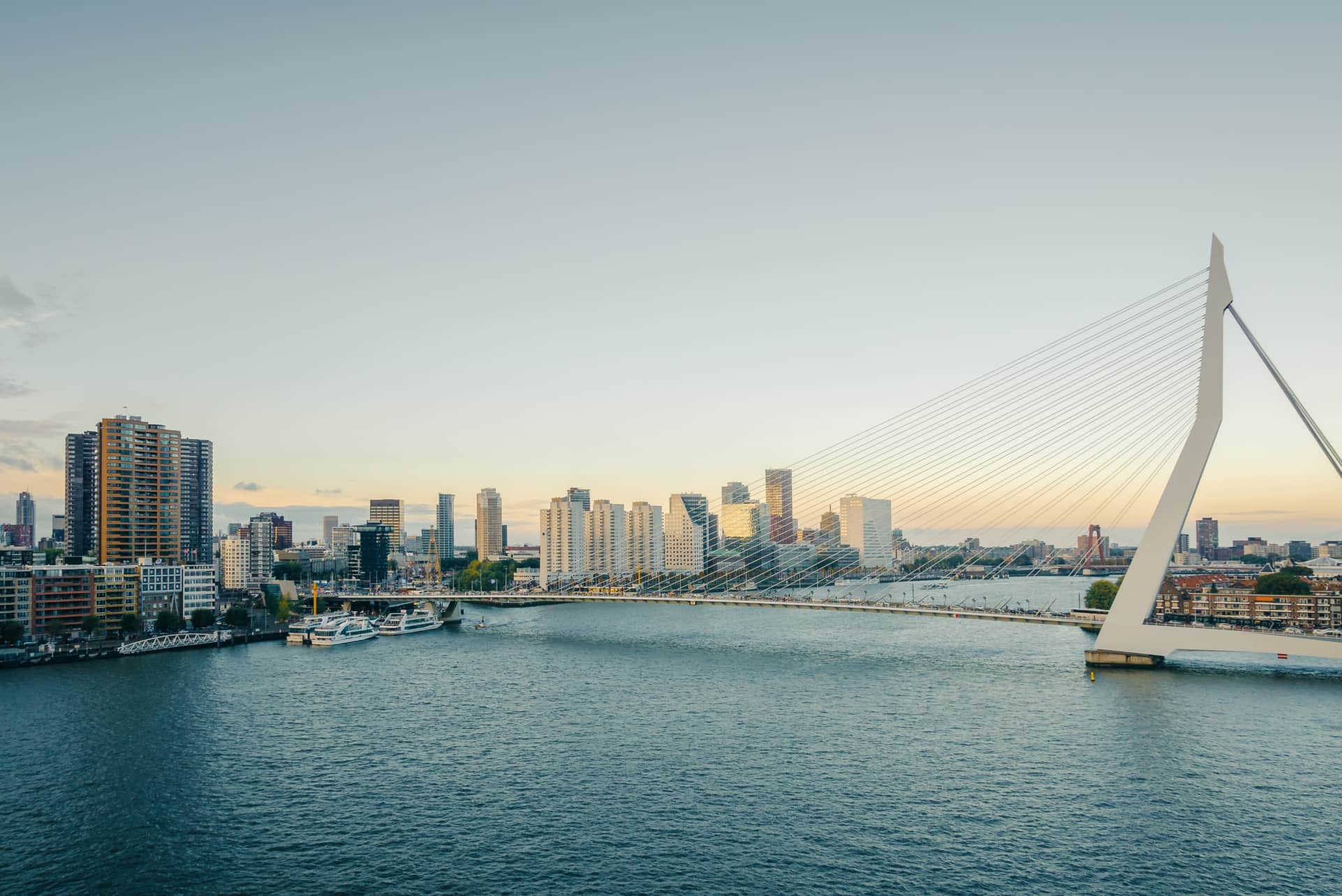 Die günstigsten Flüge von Köln nach Rotterdam
