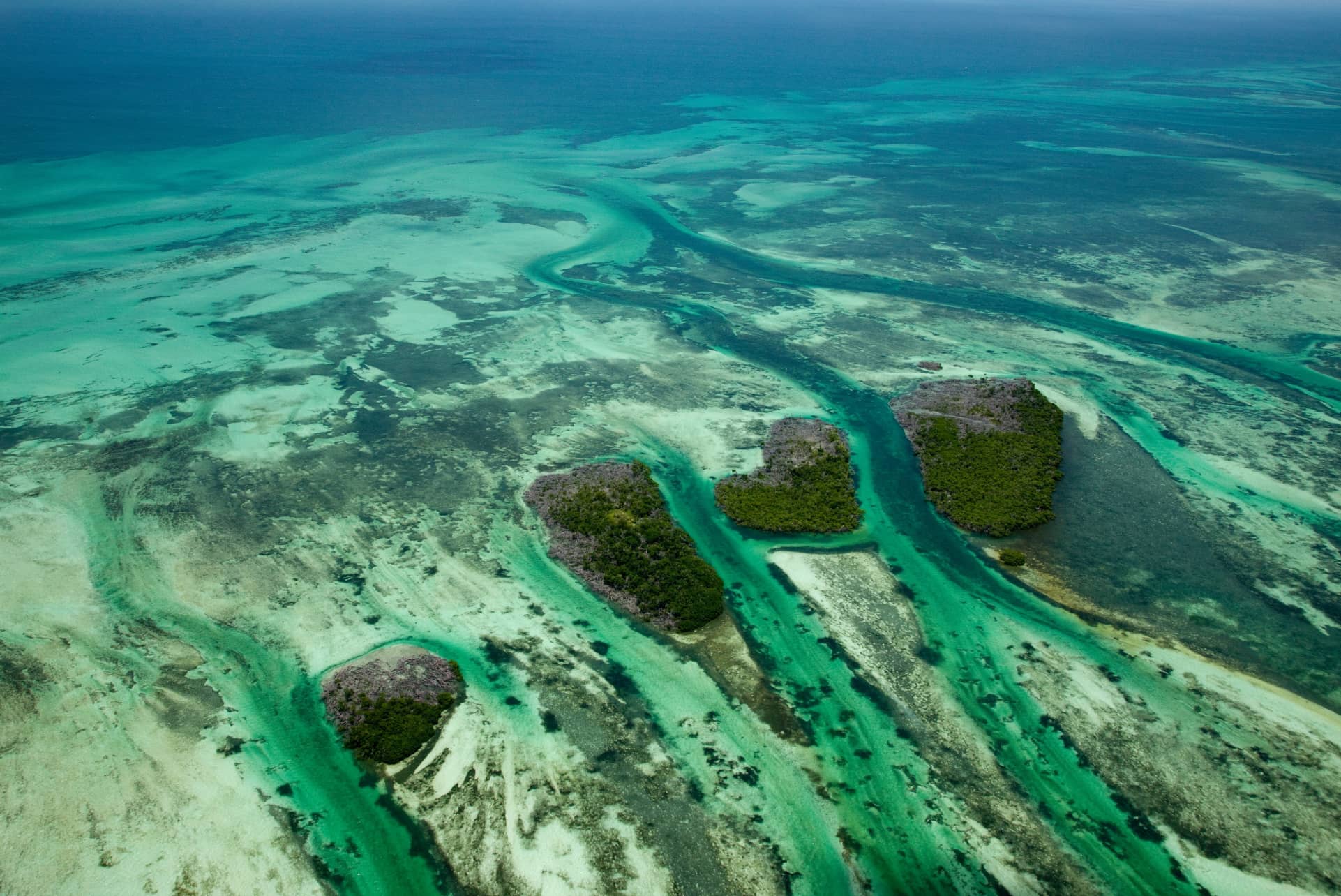 Flüge Florida buchen