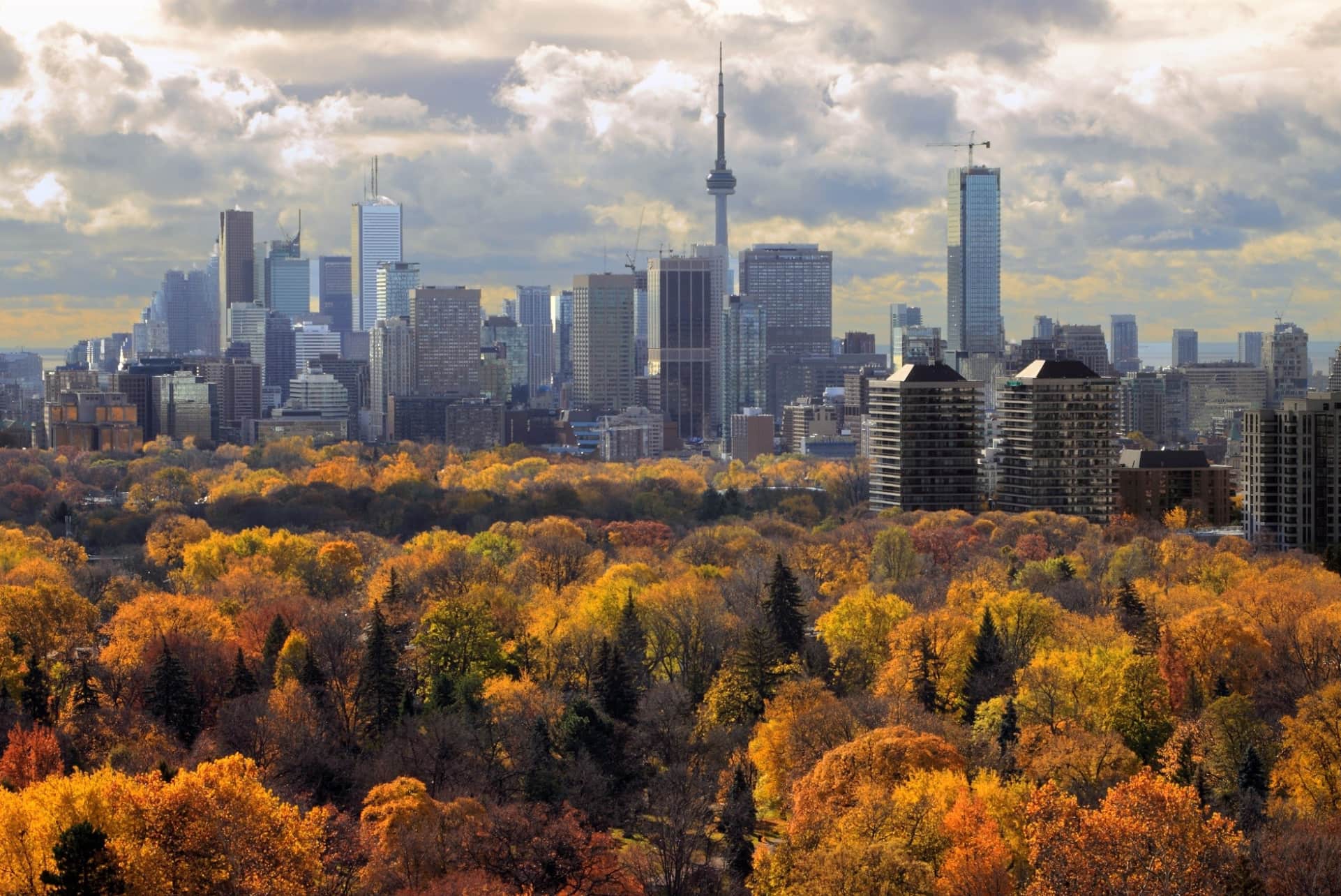 Die günstigsten Flüge von Amsterdam nach Toronto