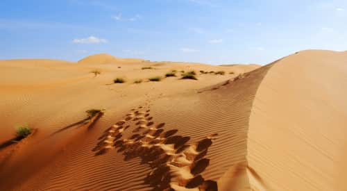 Die günstigsten Flüge von München nach Salala