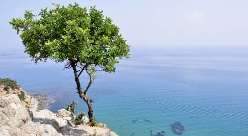 Flüge Südzypern buchen