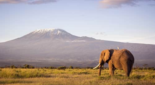 Flüge Arusha buchen