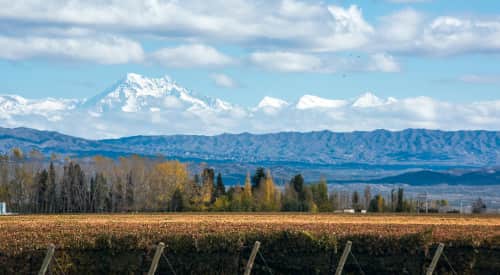 Flüge Mendoza buchen