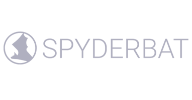 Logo Spyderbat