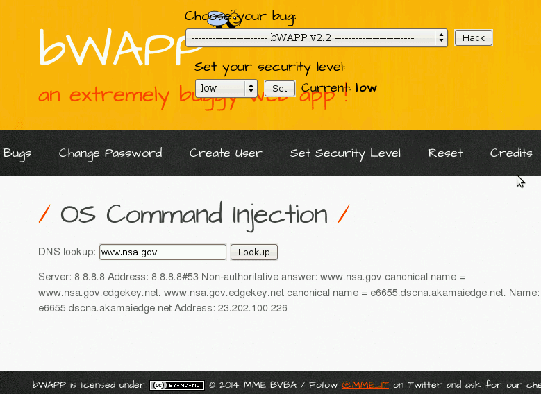 bWAPP DNS lookup site