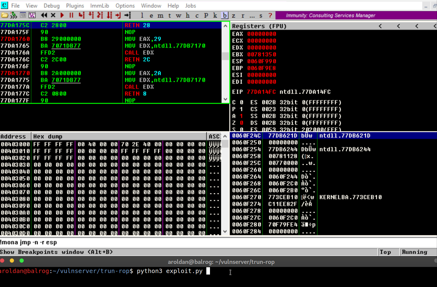 Executing code on the stack