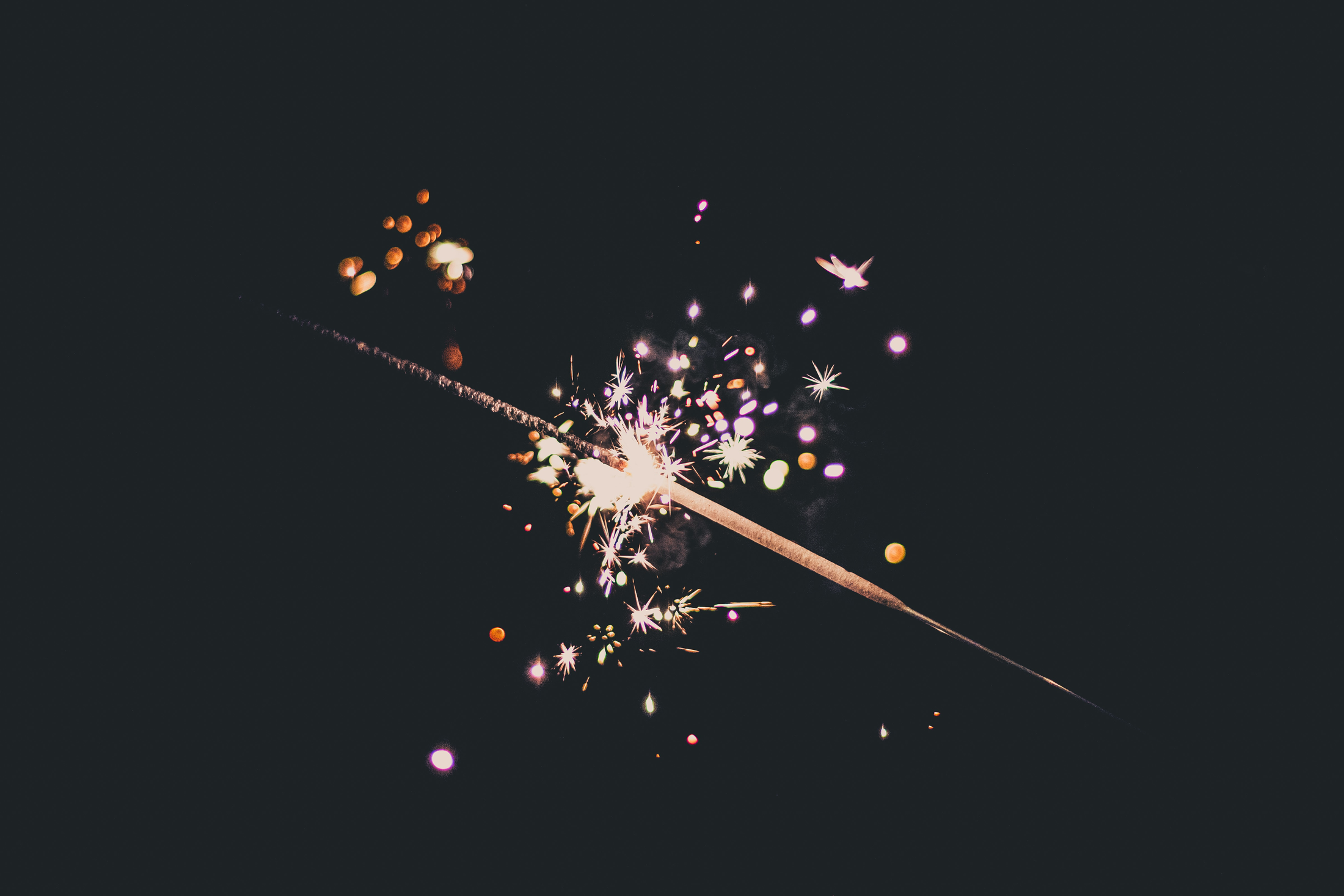 Trend Forecast for 2024 | Blog | Fluid Attacks