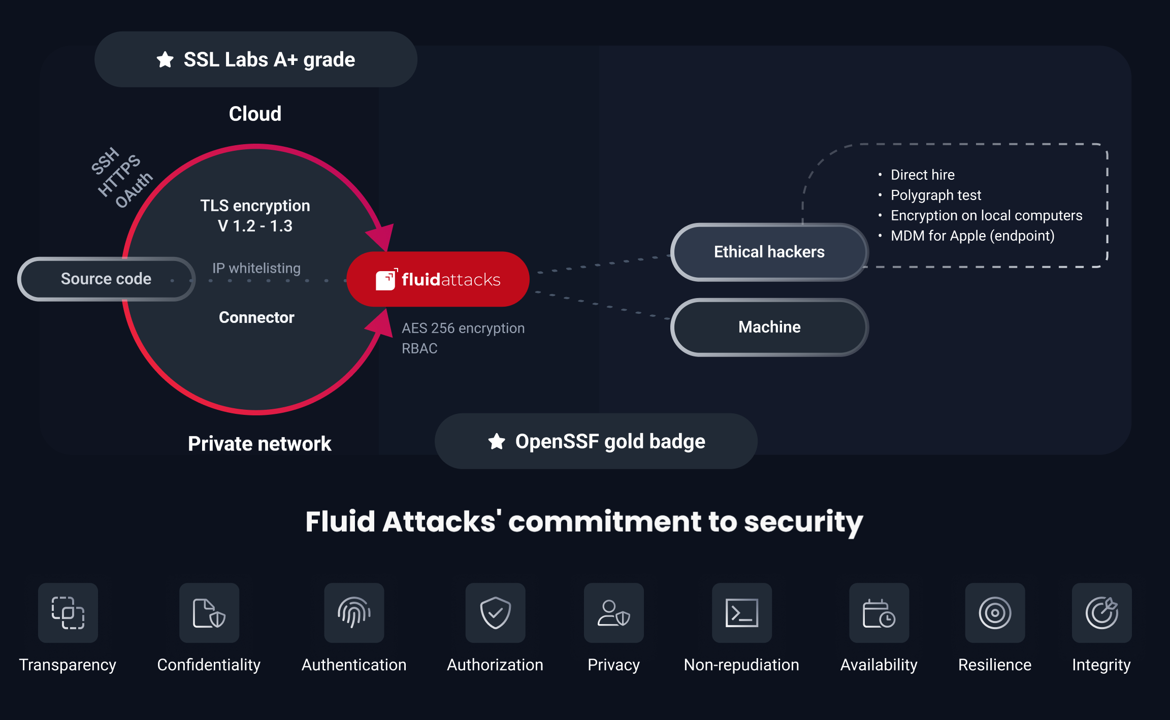 Security measures of Fluid Attacks in its Continuous Hacking