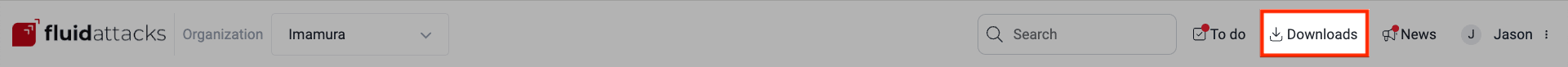 Find the Downloads button on the Fluid Attacks platform