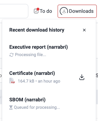 View download progress on the Fluid Attacks platform