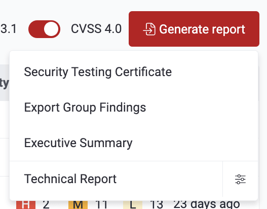 View report options on the Fluid Attacks platform