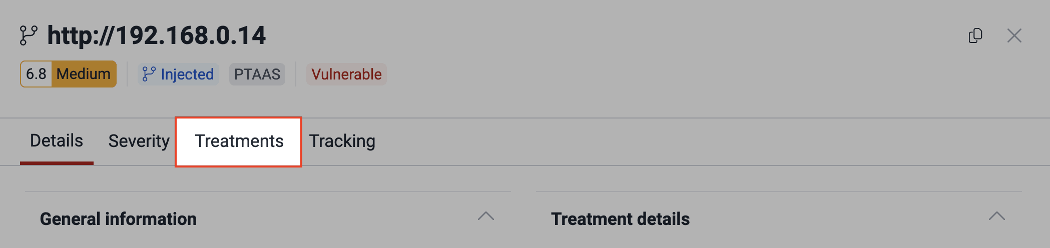 Access the Treatments tab on the Fluid Attacks platform