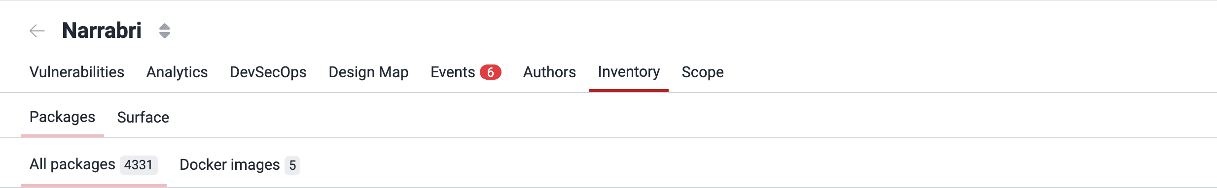 View Packages subsections on the Fluid Attacks platform