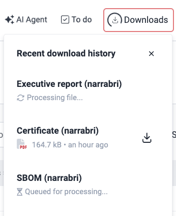 View download progress on the Fluid Attacks platform
