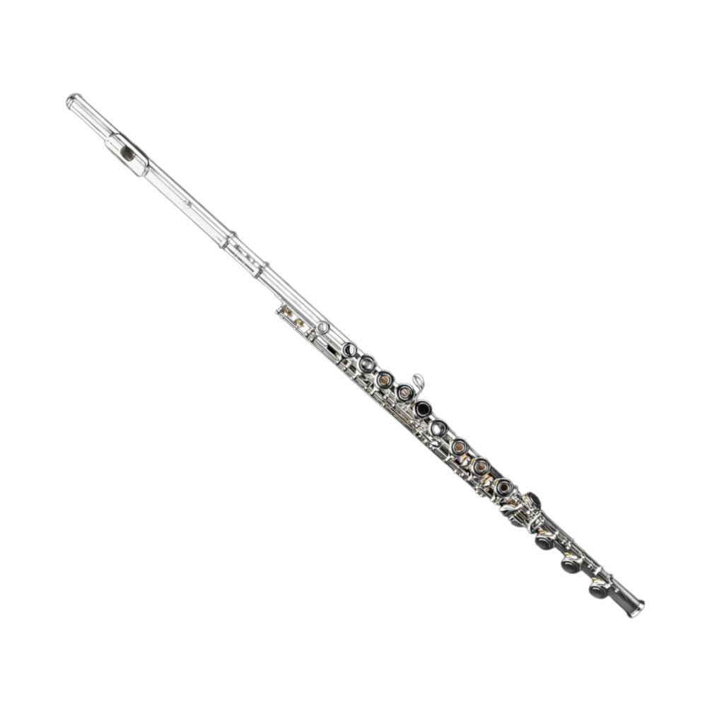 管楽器・吹奏楽器 Pearl Flute PF-525RBE 46080 管楽器・吹奏楽器 Pearl Flute PF-525RBE 46080 Amazon.com: Pearl