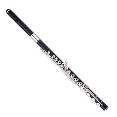 Sankyo Grenadilla Flute - Flute Specialists