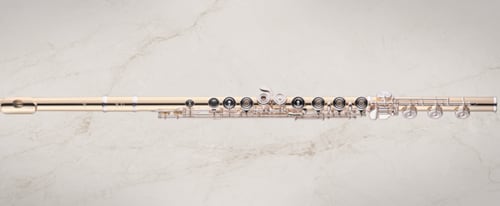 altus flute review