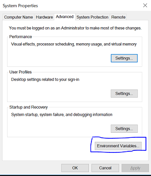 Environment variable settings