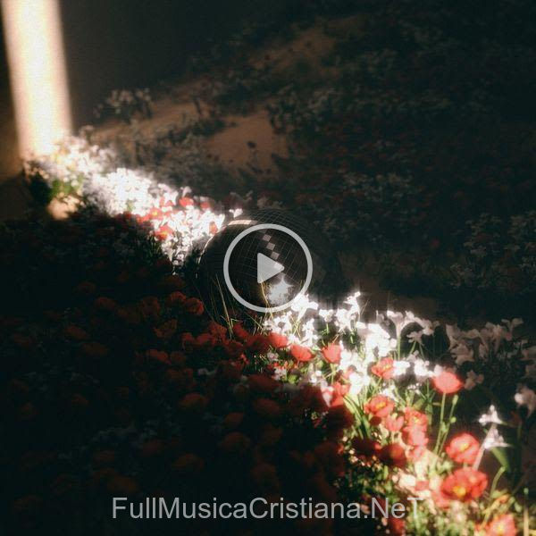 Homecoming (Español) de Bethel Music