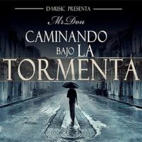 Caminando Bajo La Tormenta