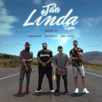 Tan Linda (Feat. Indiomar, Jay Kalyl, Omy Alka) [Remix] (Single)