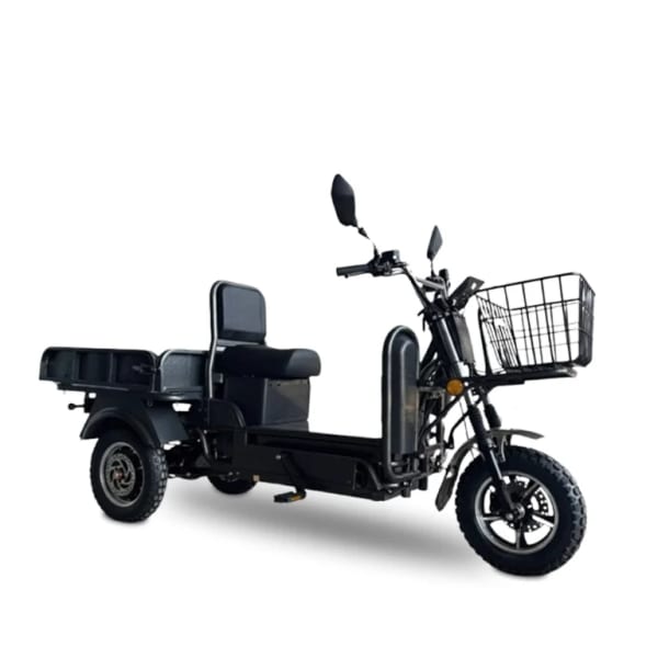 LIFTER 250 (3 Wheeler)