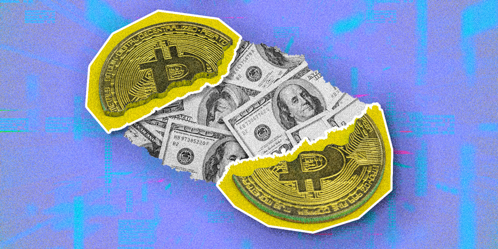 The DeFi Projects Turning The Crash Into Cash