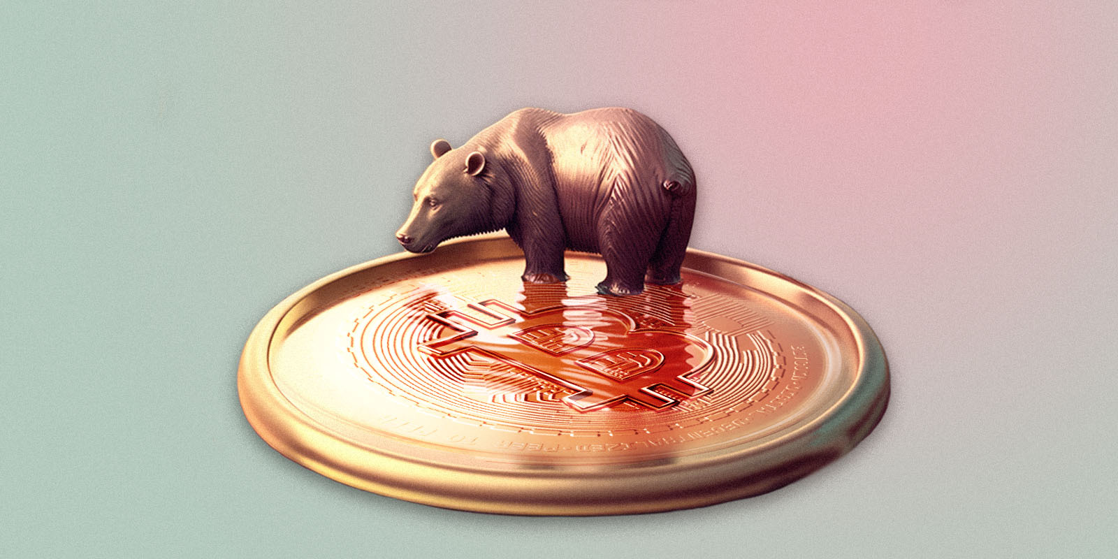 How To Avoid A Bitcoin Bear Trap