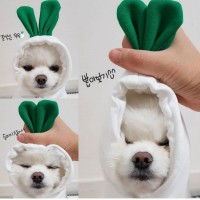 Cute Fruit Dog Clothes For Small Dogs Hoodies Winter Warm Fleece Pet Clothing Puppy Cat Costume Coat For French Chihuahua Outfit product 5